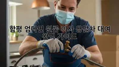 함평 엄다면 원룸 이사? 용달차 대여 완벽 가이드!